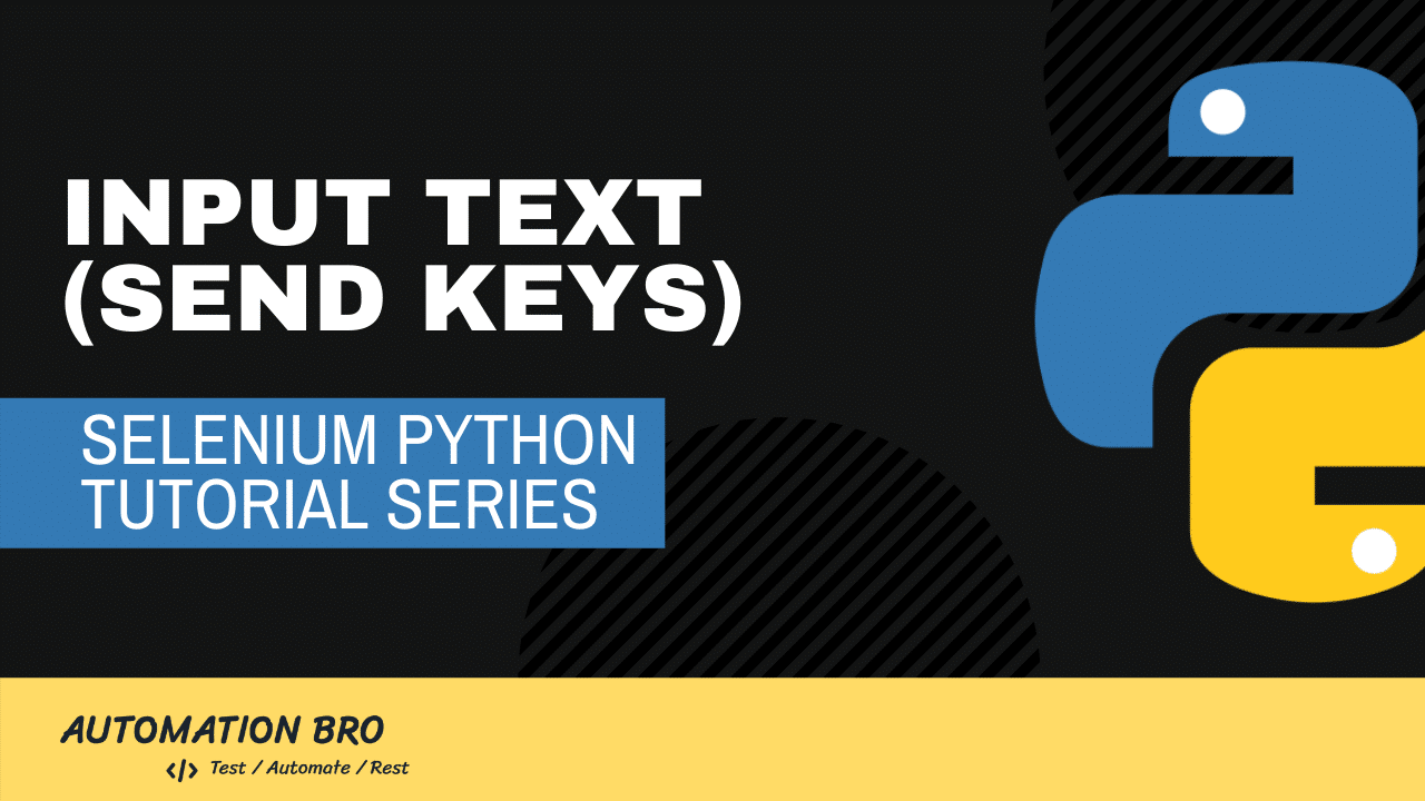 Selenium Input Text Python Tutorial