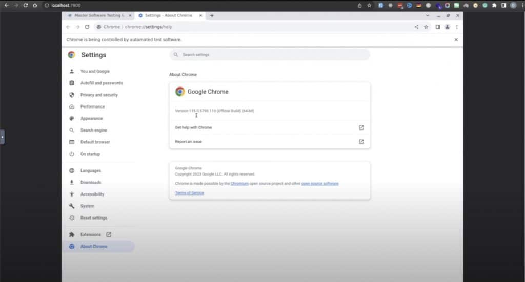 Chrome 115 & 116 for Selenum Docker - NoVNC Viewer