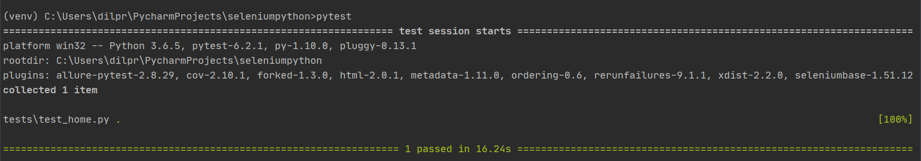 pytest test runner results